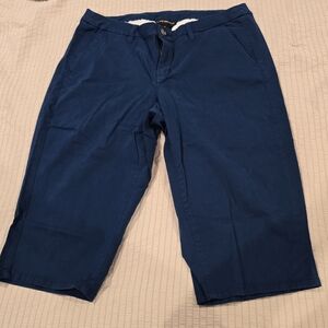 Lane Bryant Navy Women's Shorts